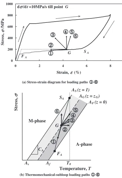 Fig. 10Stress-strain diagram and various thermomechanical-sublooploading paths during the unloading process under the stress-controlledcondition with constant stress rate till the point G (a) Stress-strain diagramfor loading paths �–¯ (b) Thermomechanical-subloop loading paths�–¯.