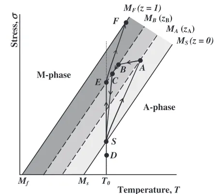 Fig. 12Thermomechanical loading path on the stress-temperature phasediagram for the thermomechanical test including the neutral loading (SA:path �, AB: path ´, BC: path ˜, CD: path ¯, DE: elastic reloading, EF:path � in Fig