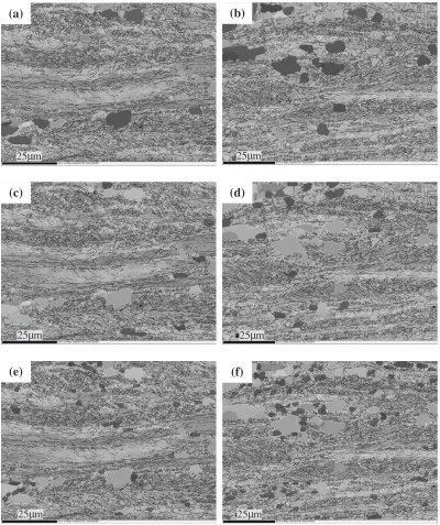 Fig. 7OIM (Band Contrast + Grain boundary) maps of annealed specimens holding for 10 min: (a) 12 T � 10 min, large grains; (b)0 T � 10 min, large grains; (c) 12 T � 10 min, medium grains; (d) 0 T � 10 min, medium grains; (e) 12 T � 10 min, small grains; (f