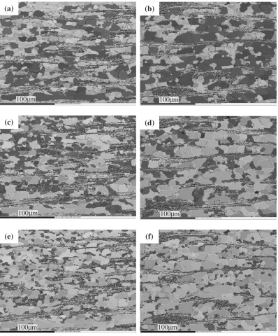 Fig. 8OIM (Band Contrast + Grain boundary) maps of annealed specimens holding for 30 min: (a) 12 T � 30 min, large grains; (b)0 T � 30 min, large grains; (c) 12 T � 30 min, medium grains; (d) 0 T � 30 min, medium grains; (e) 12 T � 30 min, small grains; (f