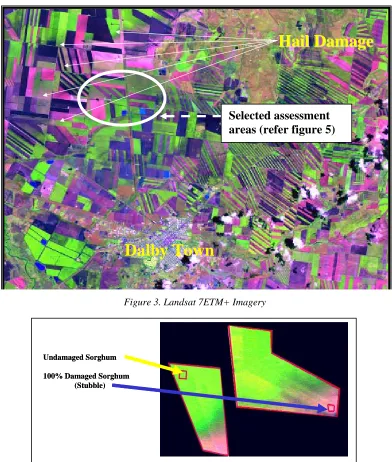 Figure 3. Landsat 7ETM+ Imagery  
