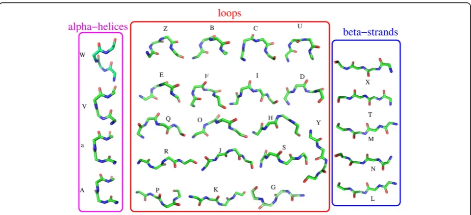 Figure 2 Geometry of the 27 structural letters of the HMM-27 structural alphabet.