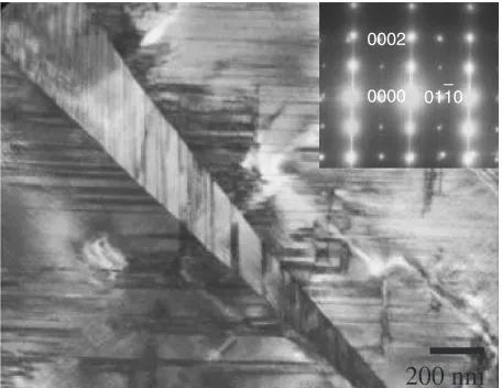 Fig. 2OM micrograph of Cu-12.4Mn-20Ga.