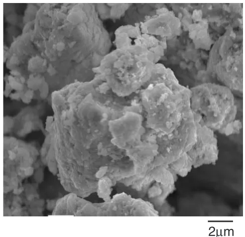 Fig. 4SEM picture of bismuth particles.