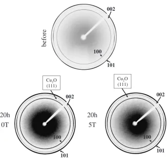 Fig. 3Debye rings for every sample.