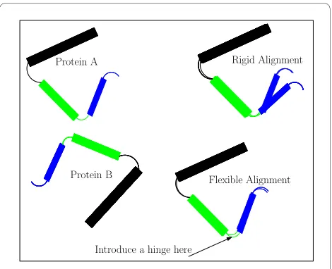 Figure 1 Flexible Structural Alignment. The Figure shows proteins A and B which have 3 similar structure fragments