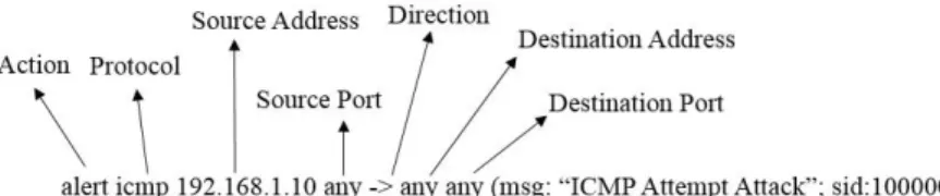 Figure 3  Example of Snort IDS Rule. 