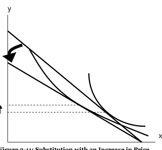 Figure 3-11: Substitution with an Increase in Price 