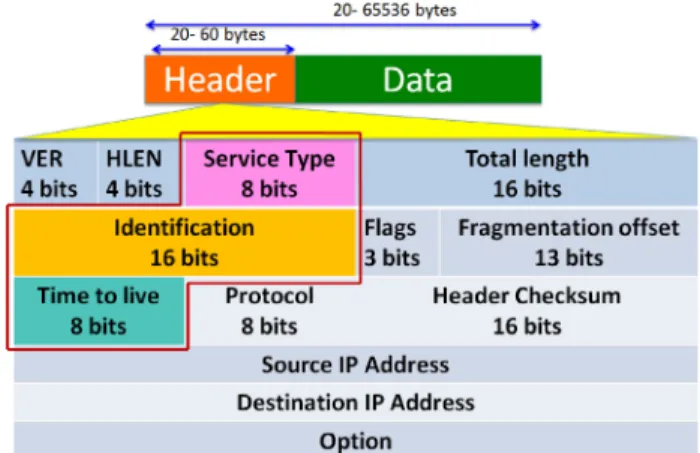 Fig. 3. Investigated fields of IP Header for attempted OS fingerprinting attack,