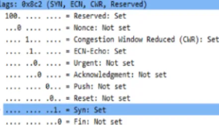 Fig. 6. Captured TCP packet with Reserved Bit and ECN-Echo probing during OS fingerprinting attack.