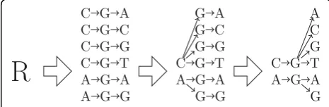 Figure 1 Back-translation graph examples. A fully represented (a)and condensed (b) back-translation graph for the amino acidsequence YSH.
