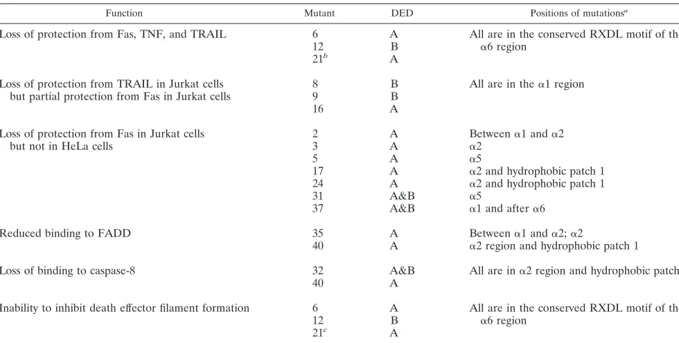 TABLE 2. Structure and function comparisons for selected MC159 mutants