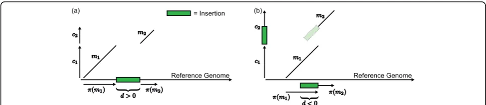Figure 2 Insertion distance. (a) An insertion in the reference genome leads to a positive distance, whereas (b) an insertion in a contig leads toa negative distance.