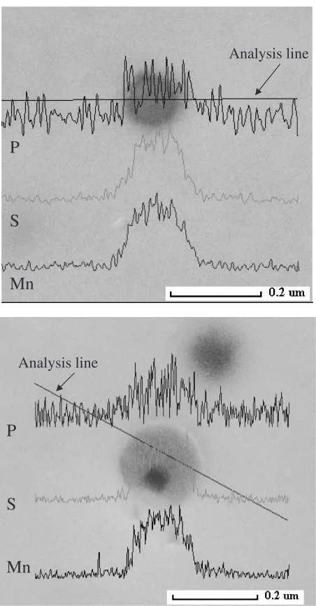Fig. 15Phosphorus co-existed with sulﬁdes in sample CuS2P. (a) TEMimage of sulﬁde particles; (b) EDS spectrums for two sulﬁdes (exactionreplica specimen).