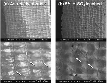 Fig. 4SEM observation on surface of as-received rice husk (a) and 5% H2SO4 leached one (b).
