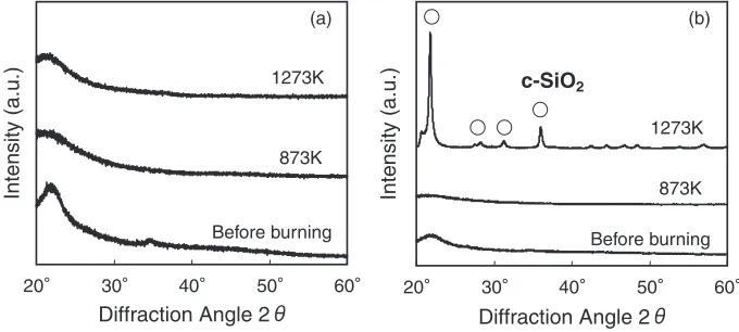Fig. 8XRD results on ashes after burning at diﬀerent temperature; 5% H2SO4 leached rice husks (a) and as-received ones without anyleaching (b).