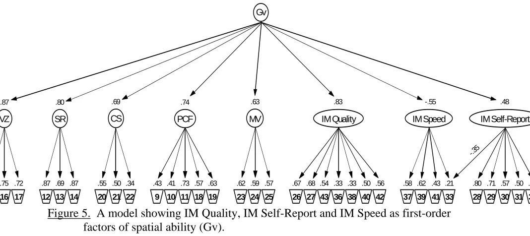 Figure 5.  A model showing IM Quality, IM Self-Report and IM Speed as first-order factors of spatial ability (Gv)