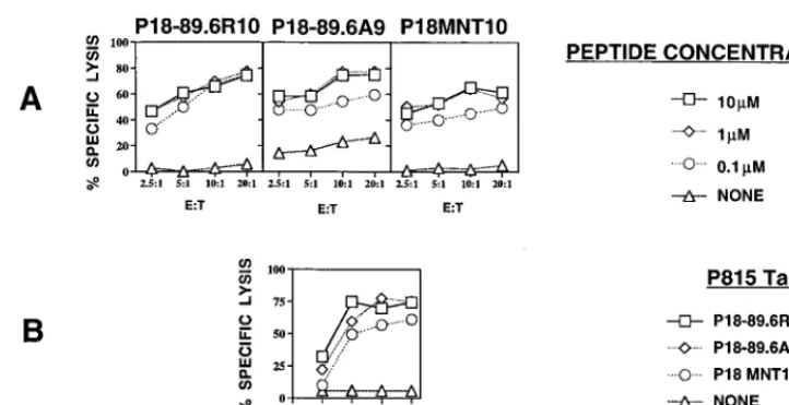 FIG. 1. (A) Recognition by the HIV-1 MN-speciﬁc CTL cell line of P815 target cells pulsed with different concentrations of P18MN peptides with substitutions.P815 targets were tested in the presence or absence of various concentrations of peptides as shown