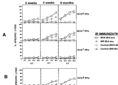 FIG. 3. Induction of PP and LP P18-89.6R10-speciﬁc CTL responses 2 weeks, 4 weeks, and 6 months after i.r