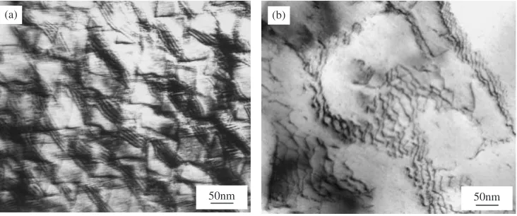 Fig. 1TEM images showing the dislocation structures after low cycle fatigue testing at 700�C