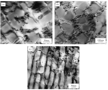 Fig. 3TEM images showing the dislocation structures after low cycle fatigue testing at 900�C
