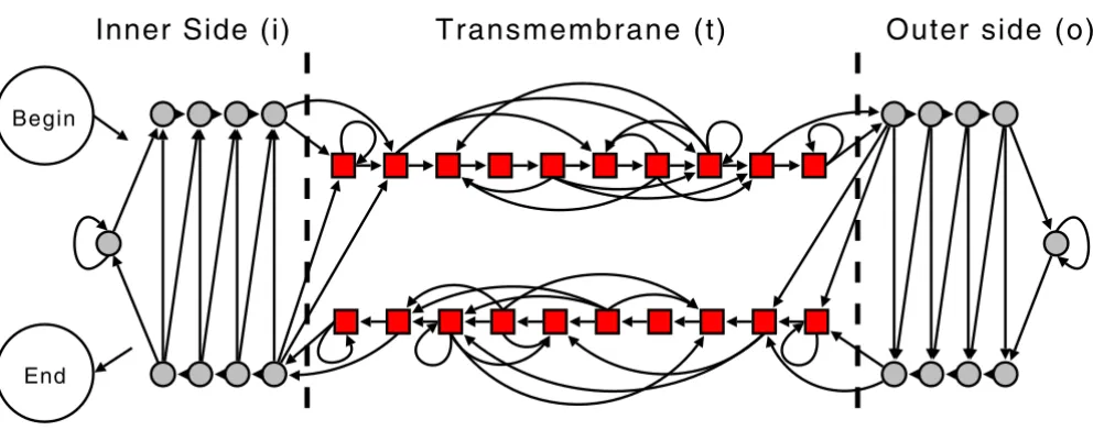 Figure 2CRFs and HMMsAutomaton structure designed for the prediction of the topology of the outer-membrane proteins in Prokaryotes with GRH-Automaton structure designed for the prediction of the topology of the outer-membrane proteins in Prokary-otes with GRHCRFs and HMMs.