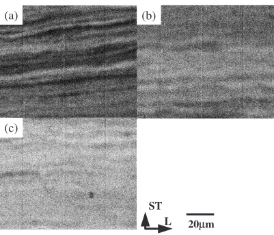 Fig. 5Back scattering electron images in the SEM for Ti–29–13 specimens processed with (a) STCR1, (b) STCR2, (c) STCR3.