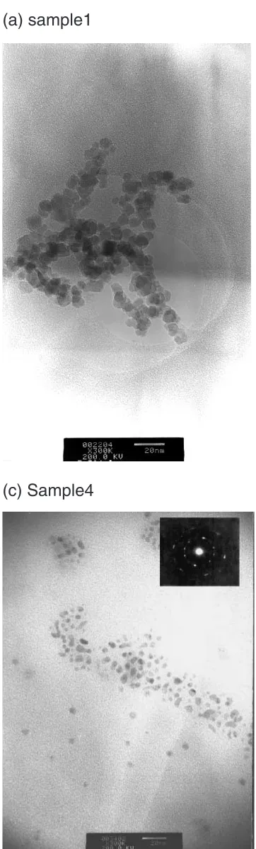 Fig. 1Representative TEM images of the results of Fe3O4