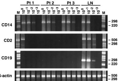 FIG. 9. mRNA phenotyping by RT-PCR of cells present in brain tissue from patients 1 to 3 (Pt 1 to Pt 3)