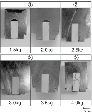 Fig. 6Schematic illustration of results of compo-casting with alumina ceramics.