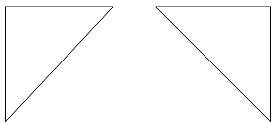 Figure 3.29 Two original images                      on the rightI1 and I2 on the left and in infinite maximal lines   
