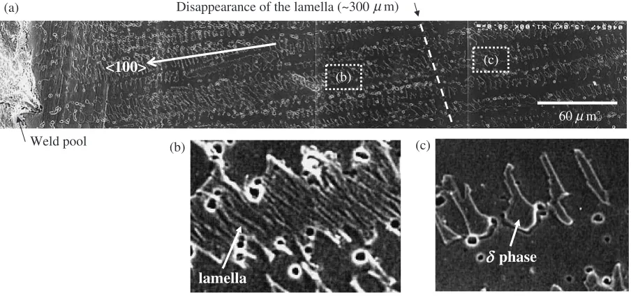 Fig. 4SEM observation of AF mode austenite system measured in Fig. 3(b). The weld pool at the high temperature is on the left hand sidein Fig