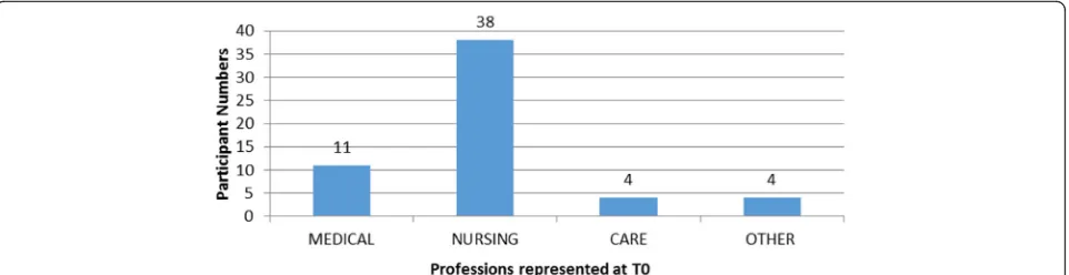 Fig. 1 Participants professions at the time of Communication Skills training provision