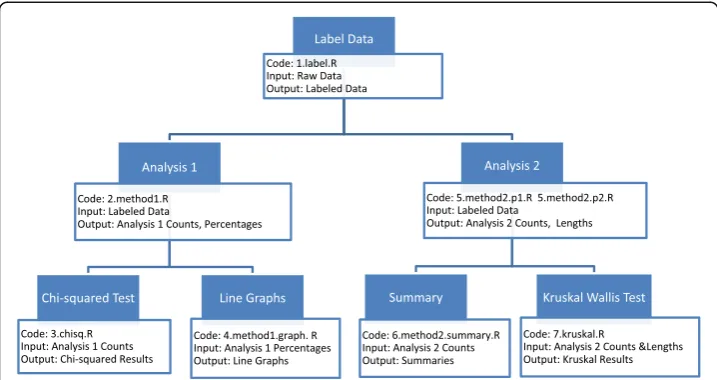 Fig. 1 Workflow of Analysis Methods. In each step, the R code, input, and output files are listed