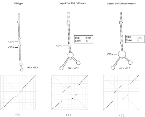 Figure 8Delta virusoidThe mutated folded structure with the largest distance grade from DoPloCompare (DP) = 0.023