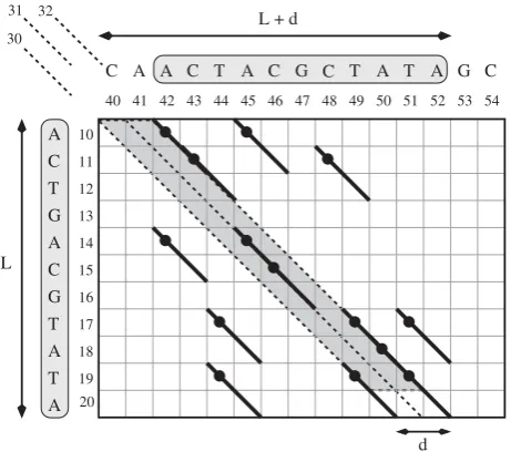 Figure 1 shows an example of diagonals and q-hits.