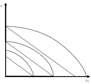 Figure A1: Intra-good wealth expansion path