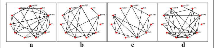 Fig. 3 Reconstructed networks for theeither the suppression of a gene or excitation of a gene, or one gene excites while the other suppresses.a l1-KF across the four time stages