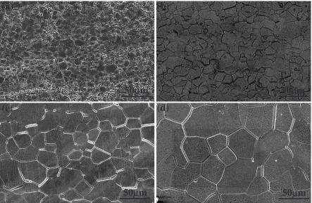Fig. 2SEM micrographs of the specimens annealed at (a) 873 K, (b) 973 K, (c) 1073 K and (d)1173 K.