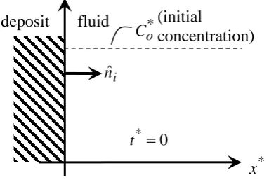 Figure 3a shows a schematic of a deposition process in a one-dimensional semi-infinite domain