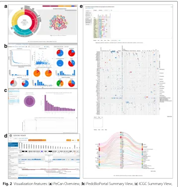 Fig. 2 Visualization features: ((a) PeCan Overview, (b) PedcBioPortal Summary View, (c) ICGC Summary View,d) ICGC Genome Viewer, (e) PeCan Proteinpaint