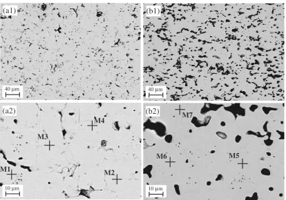 Fig. 4Back-scattered electron micrographs of as-sintered NiTi compacts by using VPCR process: (a1) and (a2) 1193 K for 48 h, (b1) and(b2) 1373 K for 6 h.