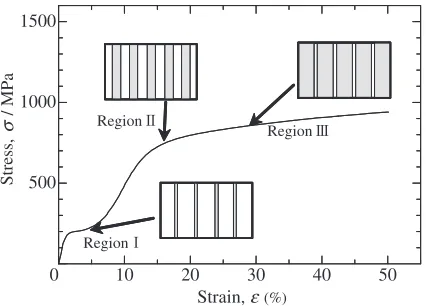 Fig. 13Change of microstructure corresponding to the increase ofdeformation in the model.