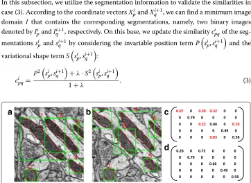 Fig. 2 A schematic diagram of coarse-to-fine similarity measure. a and b present the original images in theadjacent slices, where the segmentation results are outlined by red curves and the corresponding boundingboxes are depicted by green boxes