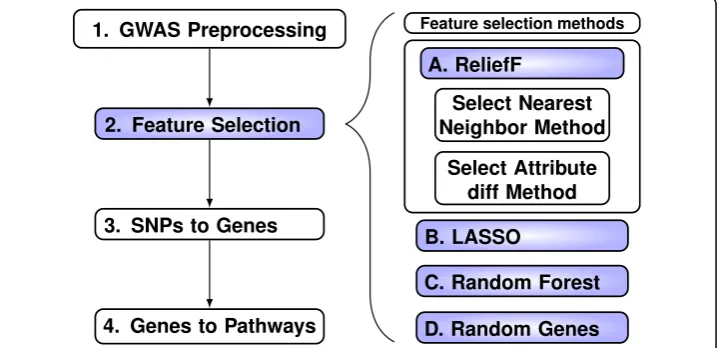 Fig. 1 Overall evaluation strategy. (1) Preprocess the GWAS data by minor allele frequency and linkagedisequilibrium filtering, (2) Apply feature selection algorithms (purple, right panel A-D), (3) Map top SNPsfrom methods A-D to gene symbols, and (4) Map 