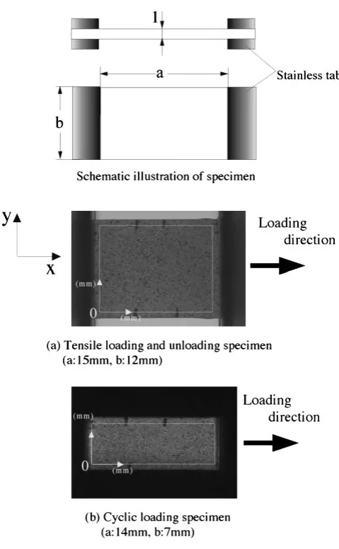 Fig. 2Calculation of distribution of displacement and local strain by using Digital Image Correlation.