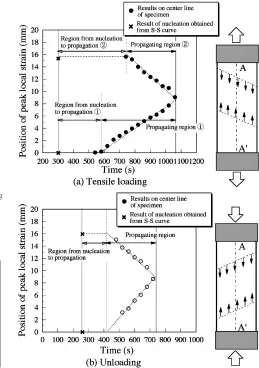Fig. 5Distribution of local strain on the surface of NiTi plate during