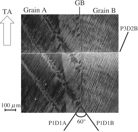 Fig. 6(a) Typical slip bands around a well-developed deformation band in Grain A of Bicrystal 2