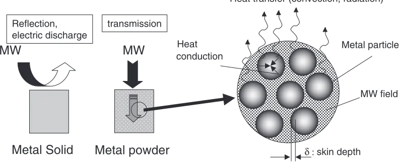 Fig. 5Schematic drawing of MW heating model of metal particles.