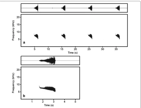 Fig. 1 Song spectrogram of P. h. mandellii. b is the magnified spectrogram of the third note in a